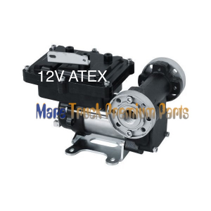 αντλια βενζινης 12V